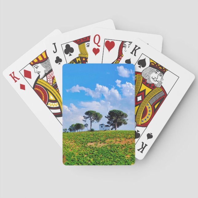 Viña de Los Pinos Spielkarten (Rückseite)