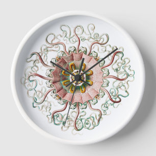 Vinatge Qualle zeichne Wall Clock Uhr