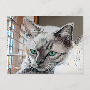 Vincent Cat Gogh Postcard Postkarte