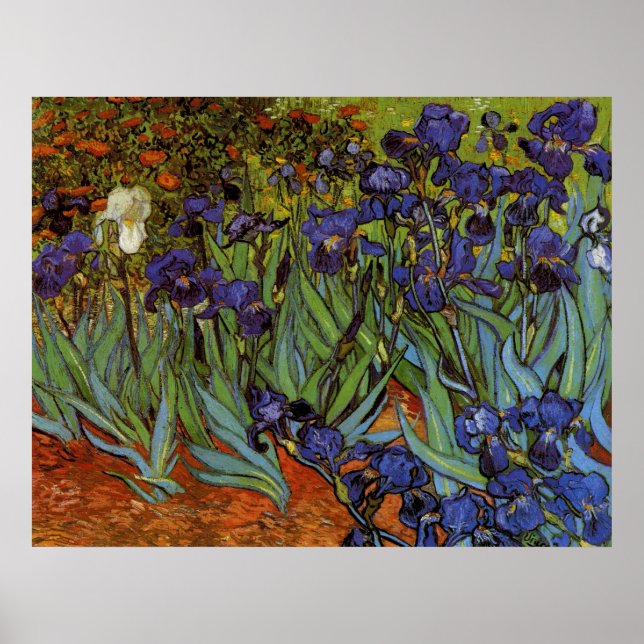 Vincent van Gogh 31 Poster (Vorne)
