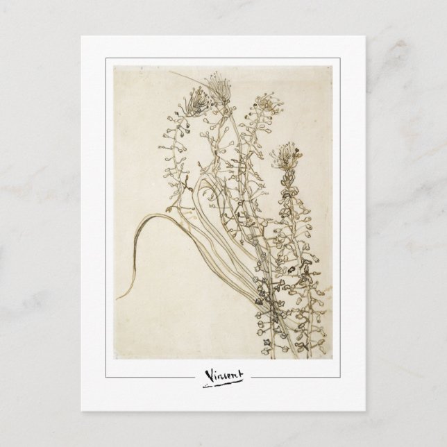 Vincent Van Gogh #356-3 - Fine Art Postkarte (Vorderseite)