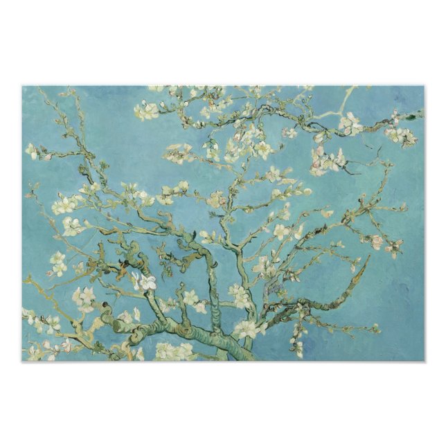 Vincent van Gogh - Almond Blossom Fotodruck (Vorne)