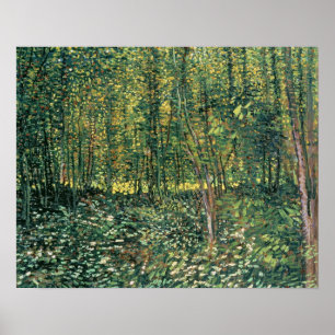 Vincent van Gogh Bäume und Unterwuchs, 1887 Poster