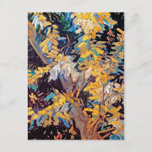 Vincent Van Gogh - blühende Akazienzweige Postkarte