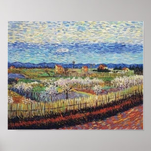 Vincent Van Gogh - Blütenbäume (Pfirsichbäume) Kun Poster