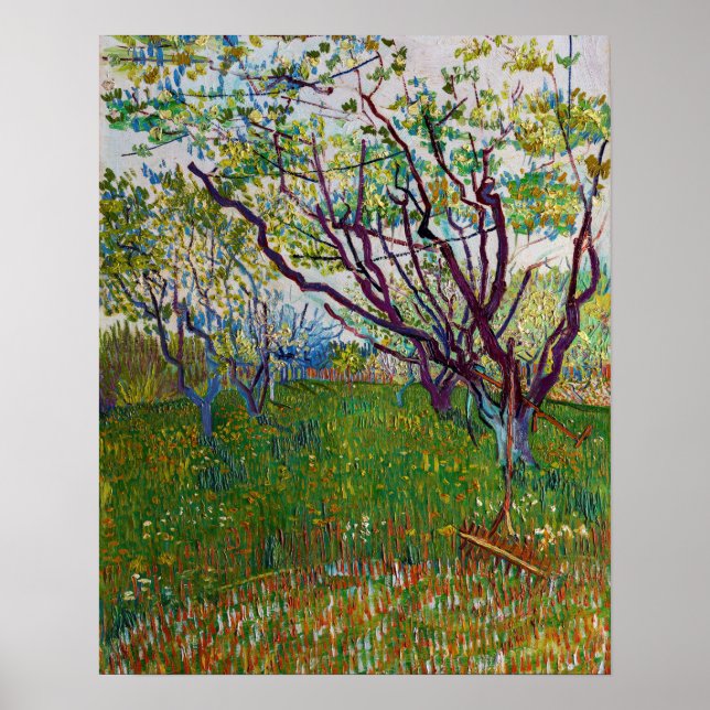 Vincent van Gogh - Der blühende Obstgarten Poster (Vorne)