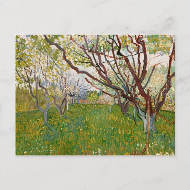Vincent van Gogh - Der blühende Obstgarten Postkarte (Vorderseite)