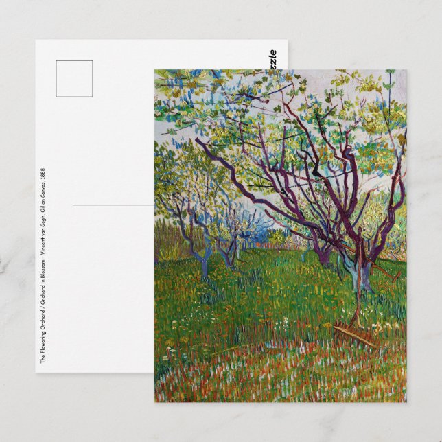 Vincent van Gogh - Der blühende Obstgarten Postkarte (Vorne/Hinten)
