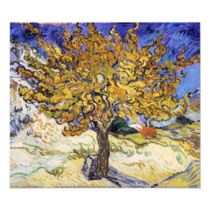 Vincent van Gogh - Der Maulbeerbaum Fotodruck