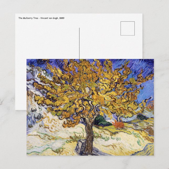 Vincent van Gogh - Der Mulberry-Baum Postkarte (Vorne/Hinten)