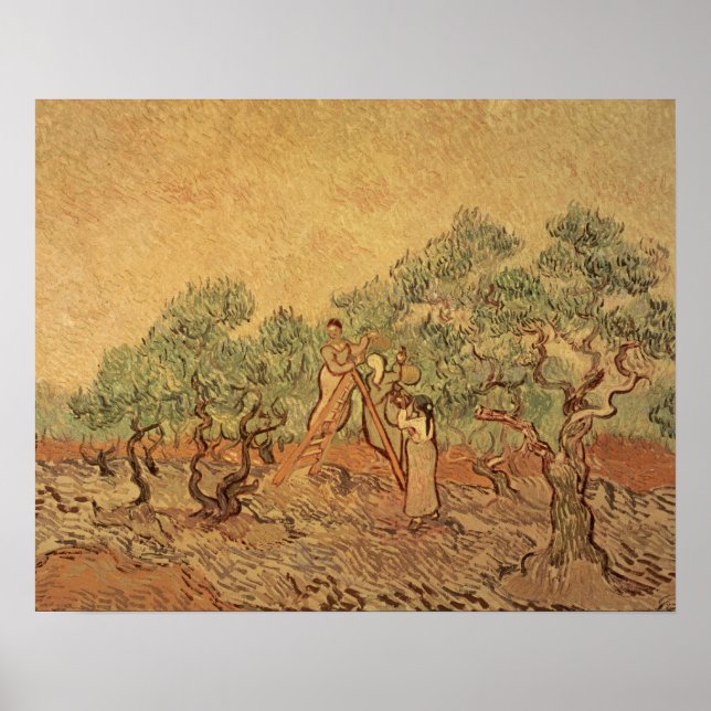Vincent van Gogh | Der Olivenhain, 1889 Poster (Vorne)