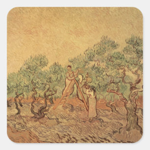 Vincent van Gogh   Der Olivenhain, 1889 Quadratischer Aufkleber