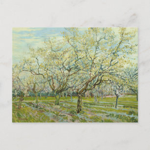Vincent van Gogh - Der weiße Obstgarten Postkarte
