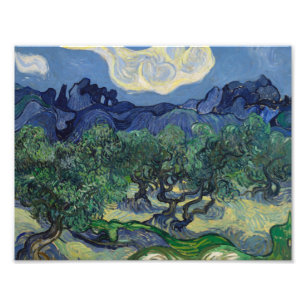 Vincent van Gogh - Die Olivenbäume Fotodruck