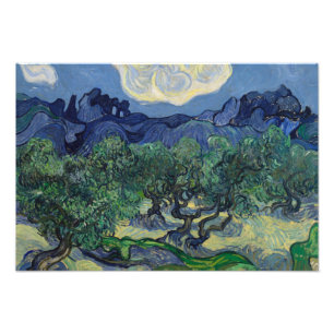 Vincent van Gogh - Die Olivenbäume Fotodruck
