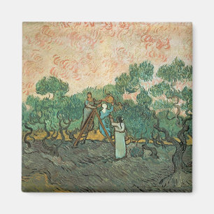 Vincent van Gogh   Die Olivenhaine, Saint-Remy Magnet