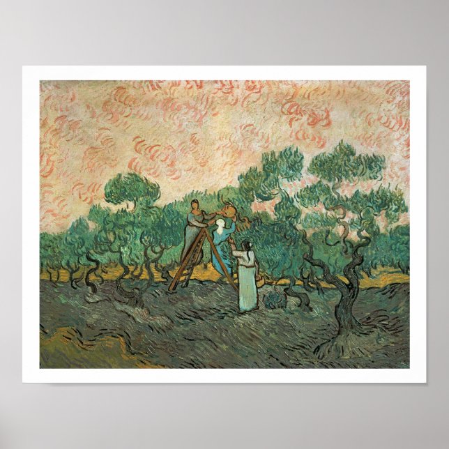 Vincent van Gogh | Die Olivenhaine, Saint-Remy Poster (Vorne)