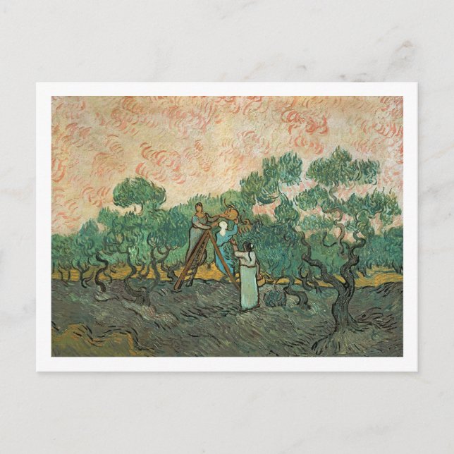 Vincent van Gogh | Die Olivenhaine, Saint-Remy Postkarte (Vorderseite)