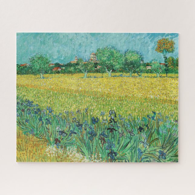 Vincent van Gogh - Field with Irises near Arles (Horizontal)