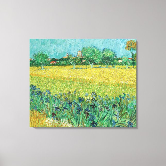 Vincent van Gogh - Field with Irises near Arles Leinwanddruck (Vorderseite)