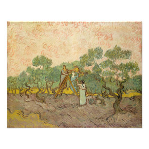 Vincent van Gogh - Frauen beim Olivenpflücken Fotodruck