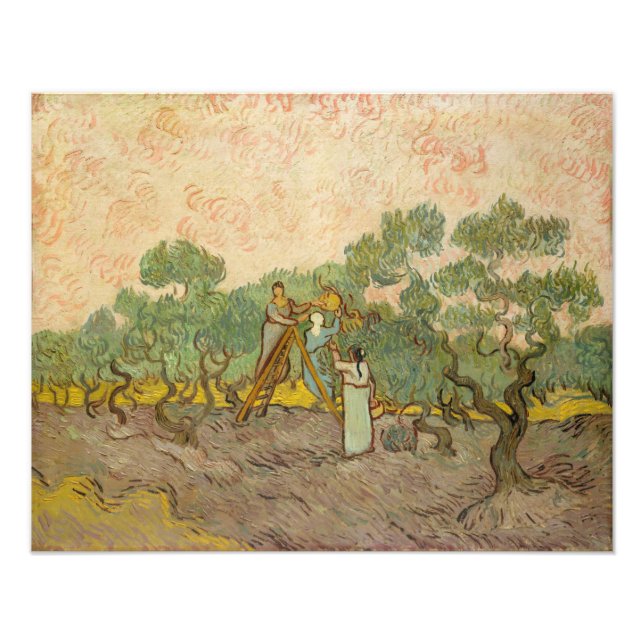 Vincent van Gogh - Frauen, die Oliven pflücken Fotodruck (Vorne)