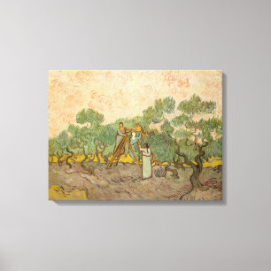 Vincent van Gogh - Frauen, die Oliven pflücken Leinwanddruck