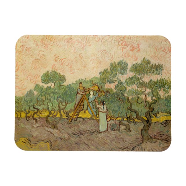 Vincent van Gogh - Frauen, die Oliven pflücken Magnet (Horizontal)