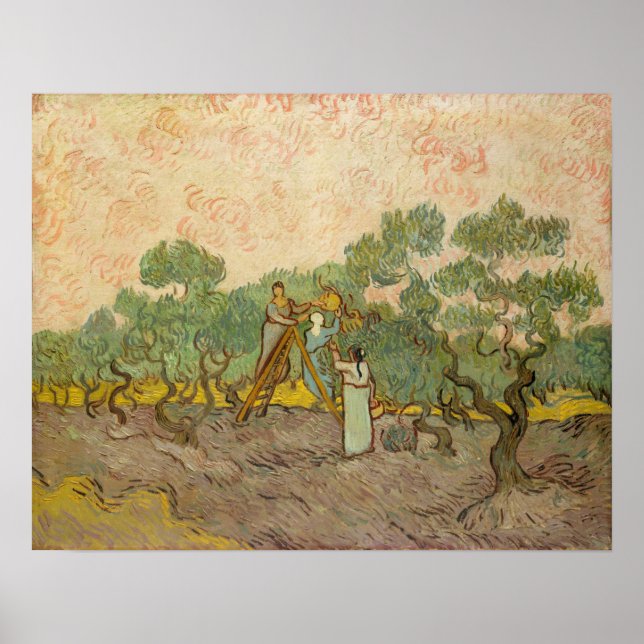 Vincent van Gogh - Frauen, die Oliven pflücken Poster (Vorne)
