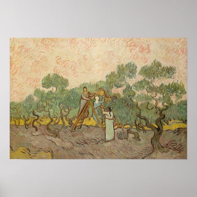 Vincent van Gogh - Frauen, die Oliven pflücken Poster (Vorne)