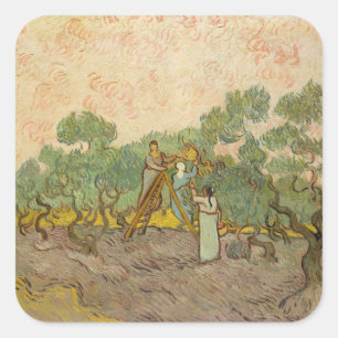 Vincent van Gogh - Frauen, die Oliven pflücken Quadratischer Aufkleber