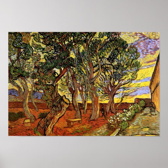 Vincent Van Gogh - Garten des St. Paul Hospital Poster (Vorne)