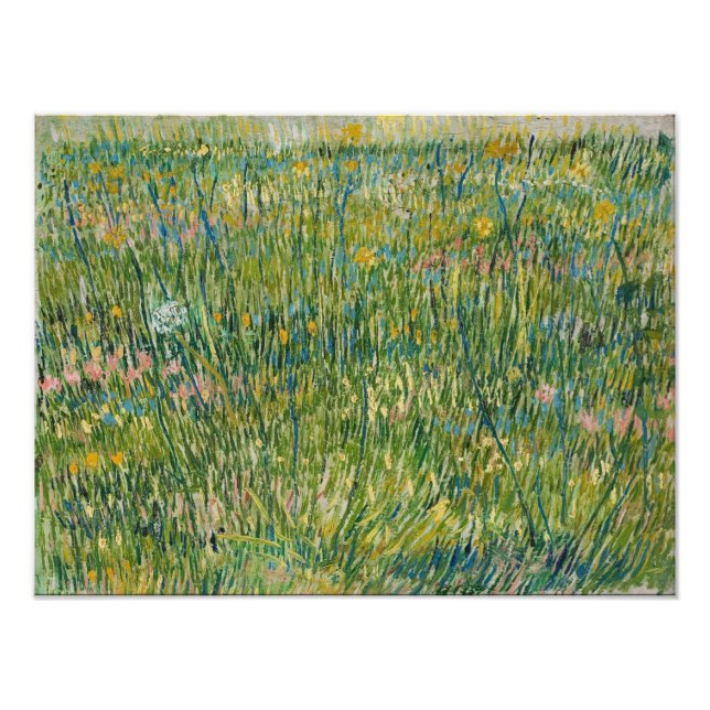 Vincent van Gogh - Graspflaster Fotodruck (Vorne)