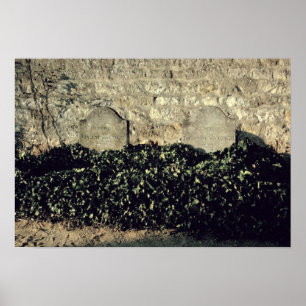 Vincent van Gogh   Graves, Vincent, Theo van Gogh Poster