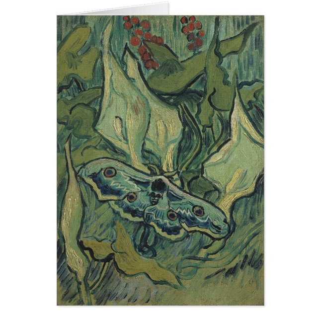 Vincent van Gogh - Great Peacock Moth (Vorne)