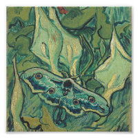 Vincent Van Gogh - Great Peacock Moth