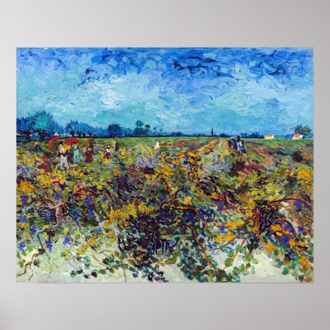 Vincent van Gogh - Green Vineyard Poster (Vorne)