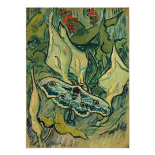 Vincent van Gogh - Großer Pfauenspinner Fotodruck