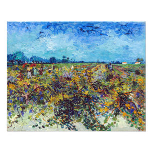 Vincent van Gogh - Grüne Weinberge Fotodruck