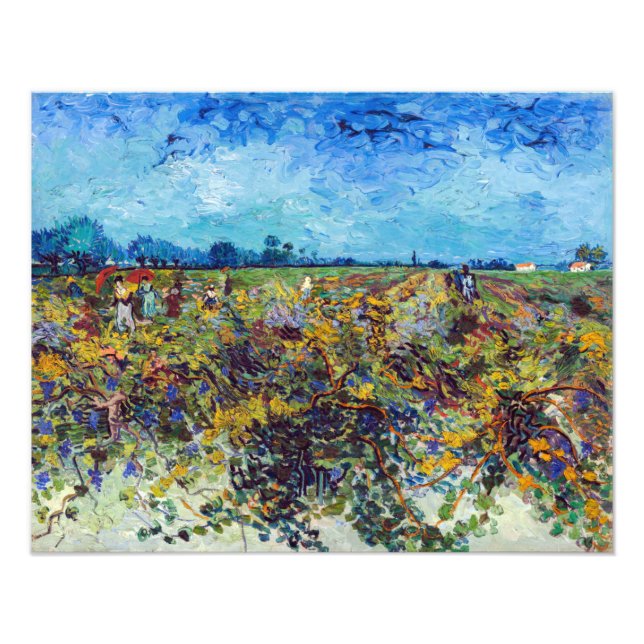 Vincent van Gogh - Grüner Weinberg Fotodruck (Vorne)