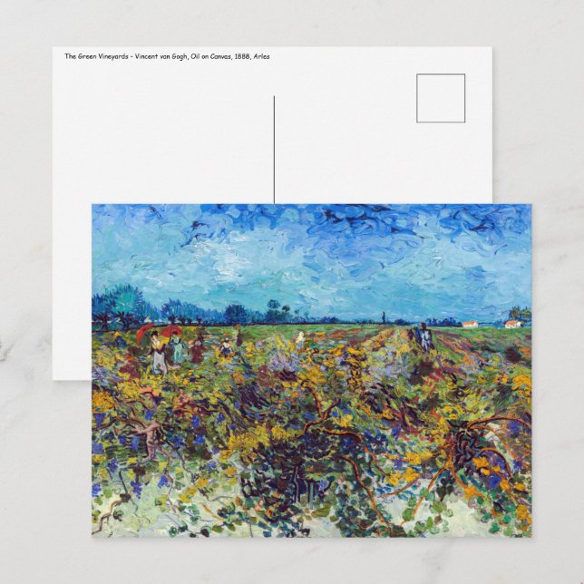 Vincent van Gogh - Grüner Weinberg Postkarte (Vorne/Hinten)