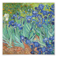 Vincent Van Gogh - Ire 1889