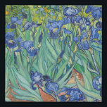 Vincent Van Gogh - Ire 1889 Künstlicher Leinwanddruck<br><div class="desc">Vincent Van Gogh - Ire 1889</div>