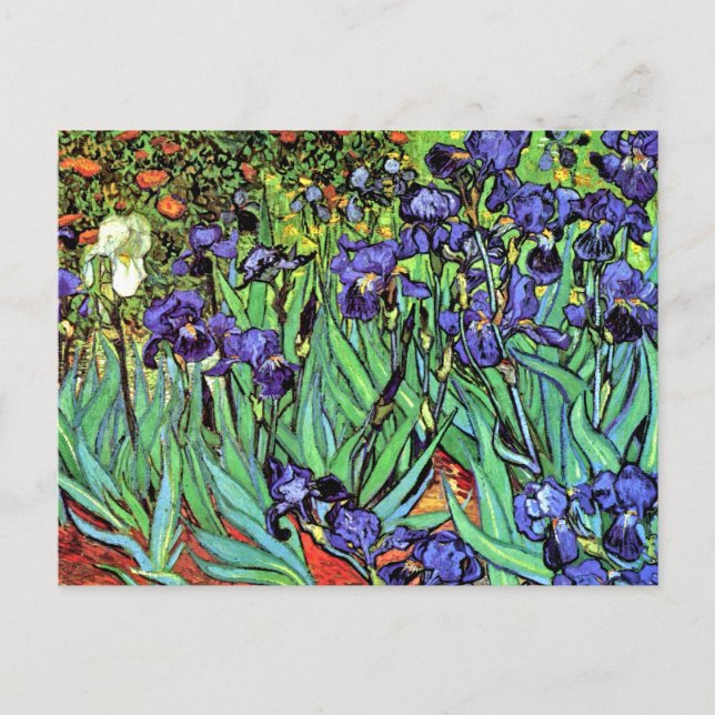 Vincent Van Gogh - Ire - Blume Lover Fine Art Postkarte (Vorderseite)