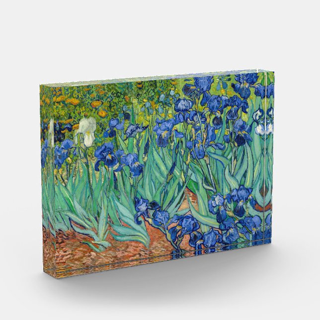 Vincent Van Gogh - Ire Fotoblock (Links)