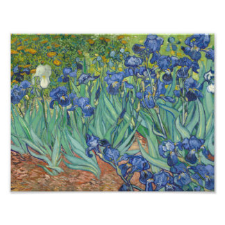 Vincent van Gogh - Ire Fotodruck