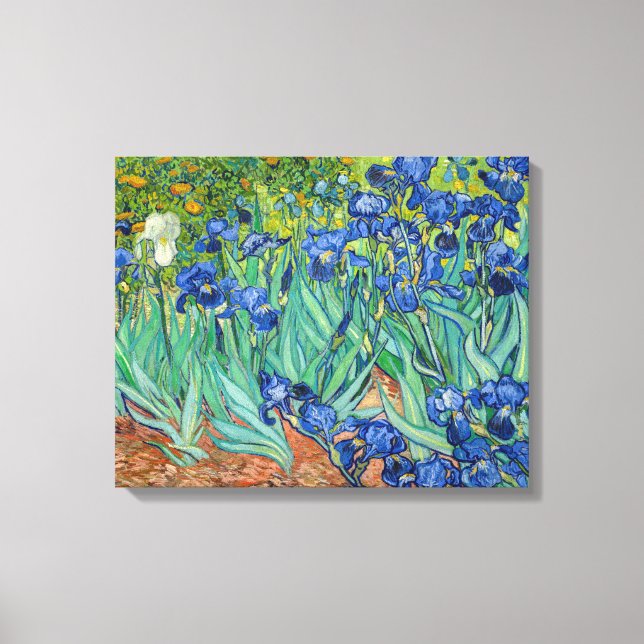 Vincent Van Gogh - Ire Leinwanddruck (Vorderseite)