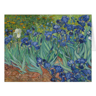 Vincent Van Gogh, Ire, Les Iris