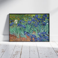 Vincent Van Gogh, Ire, Les Iris