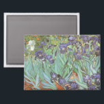 Vincent van Gogh - Ire Magnet<br><div class="desc">Ire (1889) von Van Gogh ist ein Vintager Post-Impressionismus, der ein kunstvolles Blumengemälde darstellt. Eine Gruppe lila Bartärten und eine weiße Iris-Blume aus Single, die in einem Garten wächst. Es war eines seiner ersten Gemälde, als er im Asyl in Saint-Remy-de-Provence war. 1987 wurde es zum teuersten Gemälde, das je verkauft...</div>